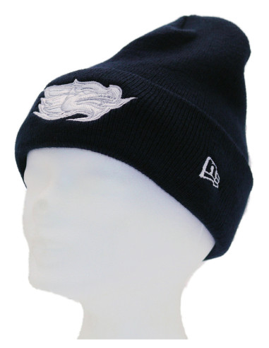 Dragons New Era Beanie