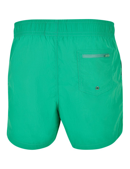 ICED UP? Swim Short Green