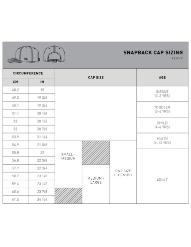 Dragons Hockey New Era 9FIFTY Snapback Navy