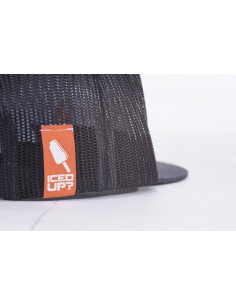 ICED UP? TRUCKER 2