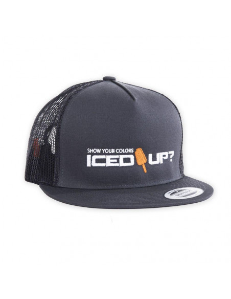 ICED UP? TRUCKER