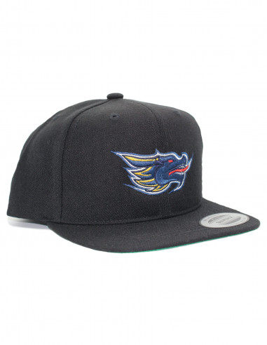 Dragons Snapback KIDS